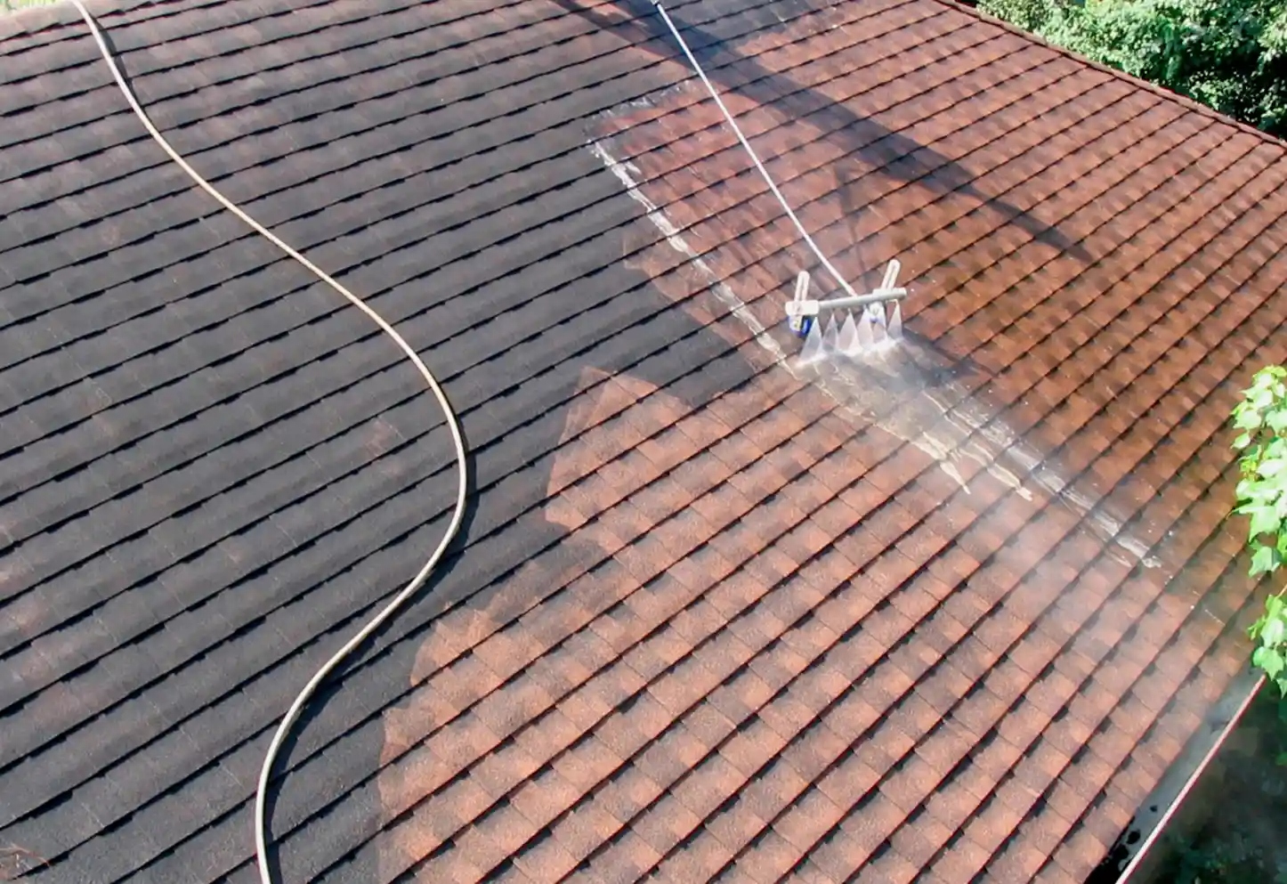 Roof Softwashing