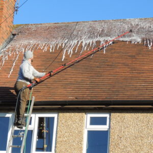 Biocide Roof Moss Treatment