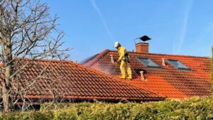roof cleaning and moss removal service