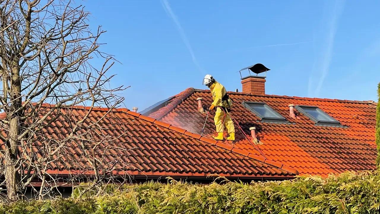 roof cleaning and moss removal service
