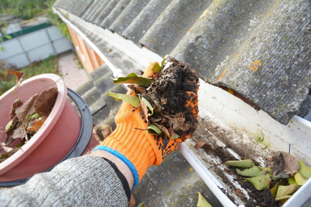gutter cleaning services