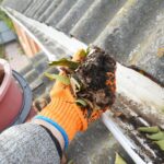 gutter cleaning services