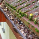gutter cleaning services