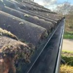 roof and gutter cleaning