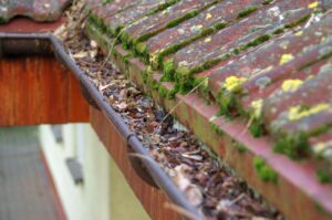 gutter cleaning services