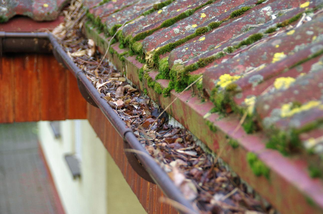 gutter cleaning services