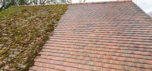 moss on roof removal