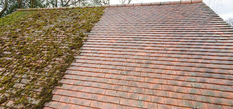 moss on roof removal