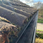 Gutter Cleaning